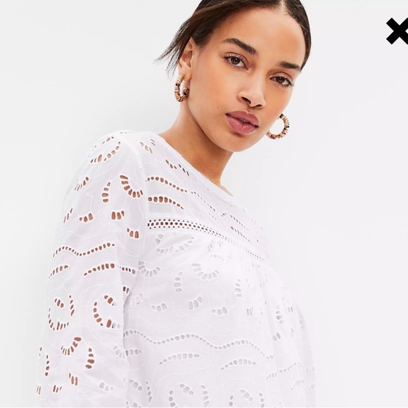 NWOT Eyelet Long Sleeve Swing Dress
Size Large Petite - Picture 8 of 9